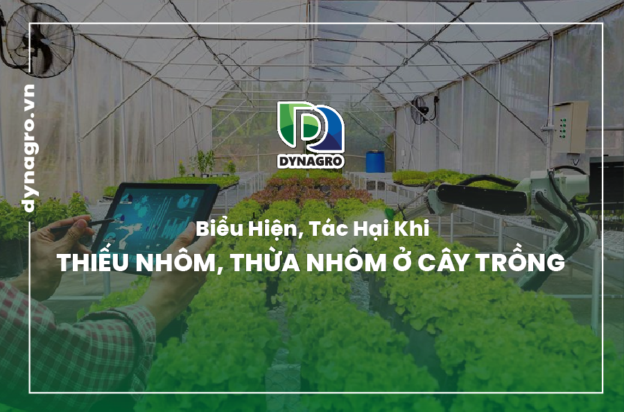thừa nhôm, thiếu nhôm