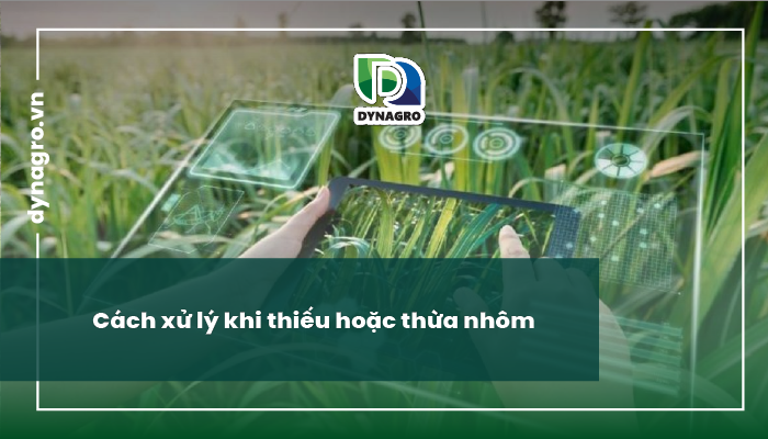 thừa nhôm, thiếu nhôm