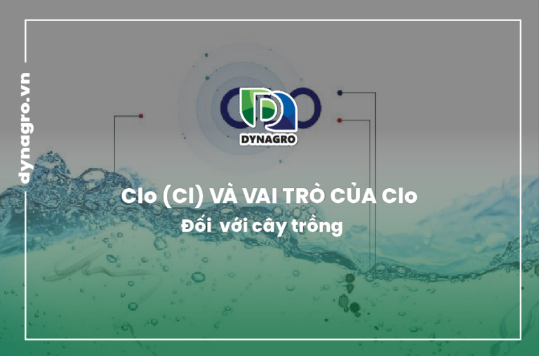 clo-va-vai-tro-cua-clo-doi-voi-cay-trong