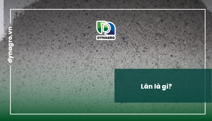 vai trò của sắt - sắt là gì