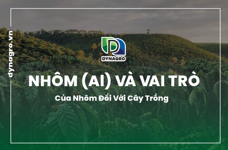 vai trò của nhôm