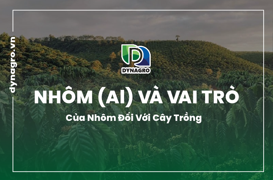 vai trò của nhôm