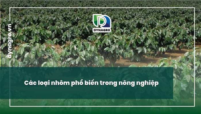 vai trò của nhôm