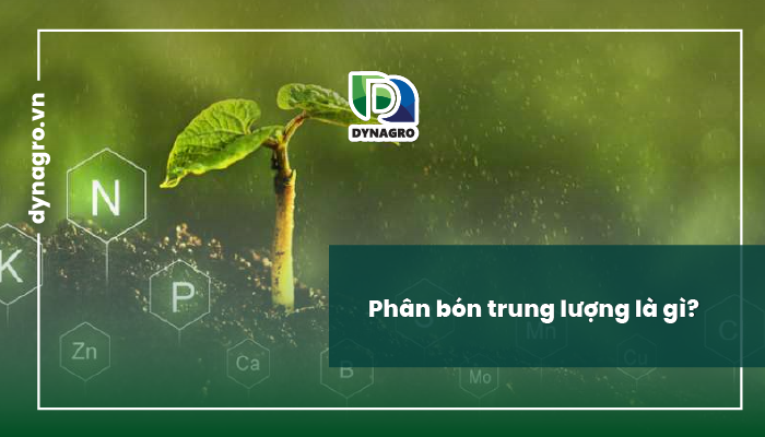 Phân bón trung lượng là gì?