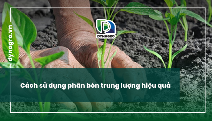 Cách sử dụng phân bón trung lượng hiệu quả