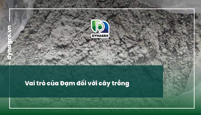 thiếu đạm ở cây trồng