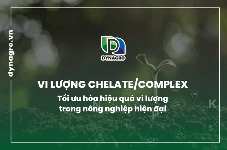 vi-luong-chelate-complex