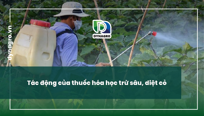 vi sinh vật trong đất