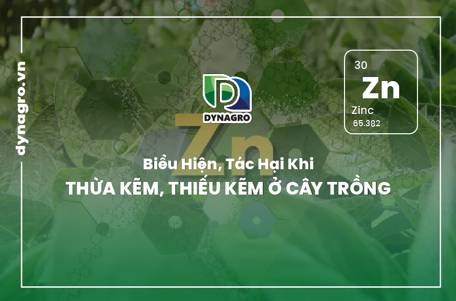 Kẽm ở cây trồng
