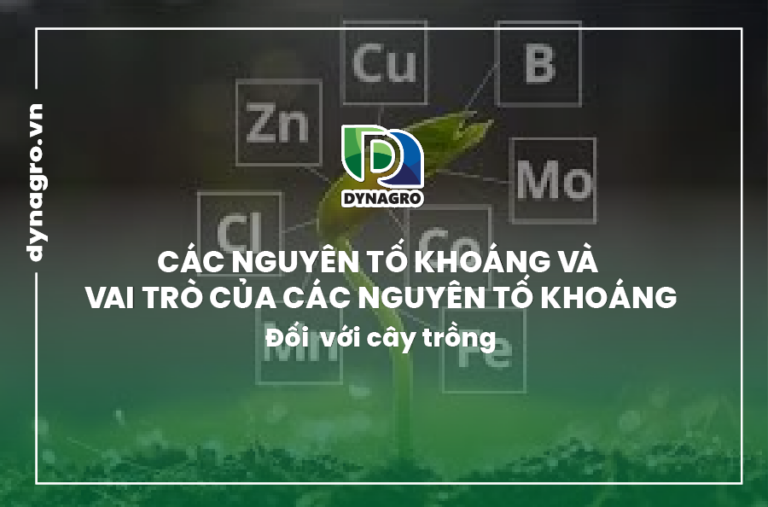cac-nguyen-to-khoang-va-vai-tro-cua-cac-nguyen-to-khoang