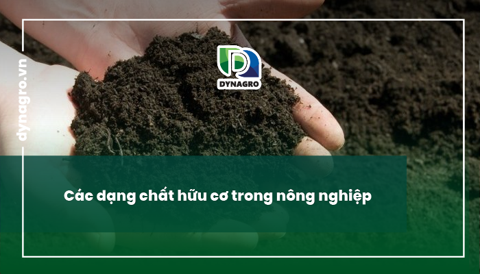 chat-huu-co-va-vai-tro-cua-chat-huu-co-trong-dat-vai-tro