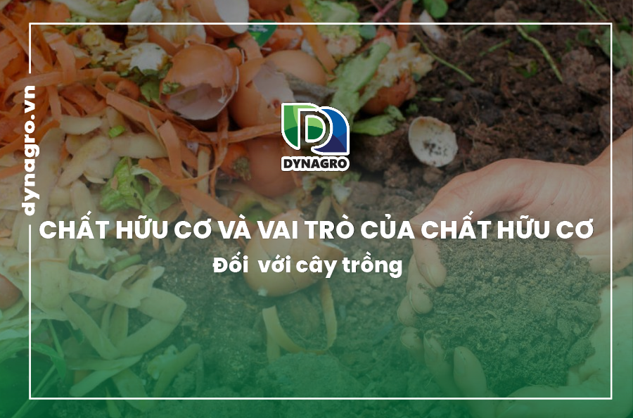 chat-huu-co-va-vai-tro-cua-chat-huu-co-trong-dat