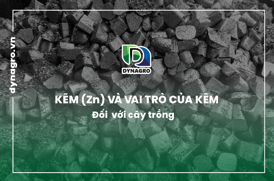 kem-va-vai-tro-cua-kem-doi-voi-cay-trong
