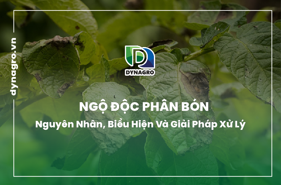 ngộ độc phân bón