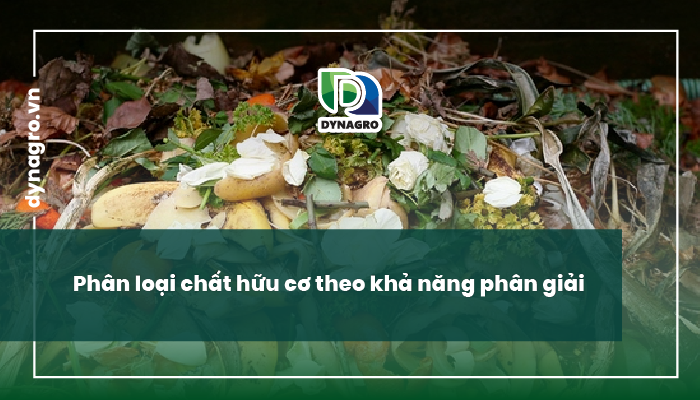 phân giải chất hữu cơ trong đất