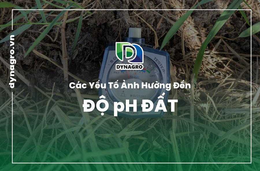 độ pH của đất