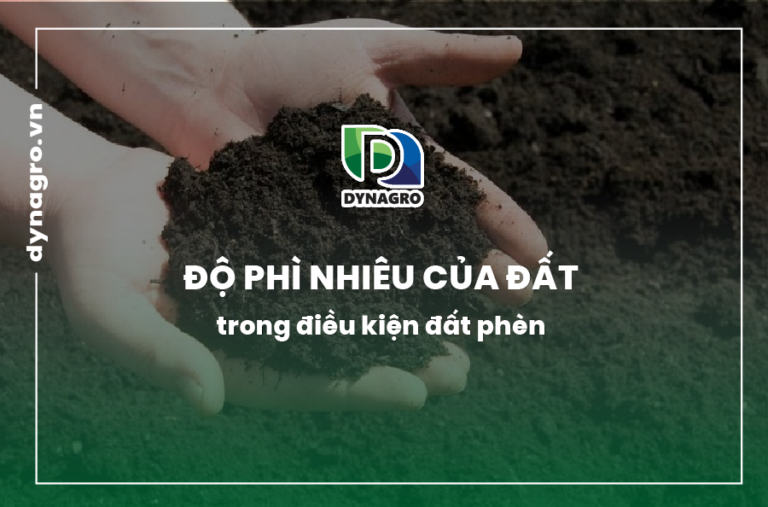 độ phì nhiêu của đất