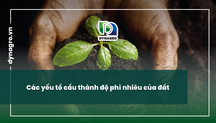 độ phì nhiêu của đất
