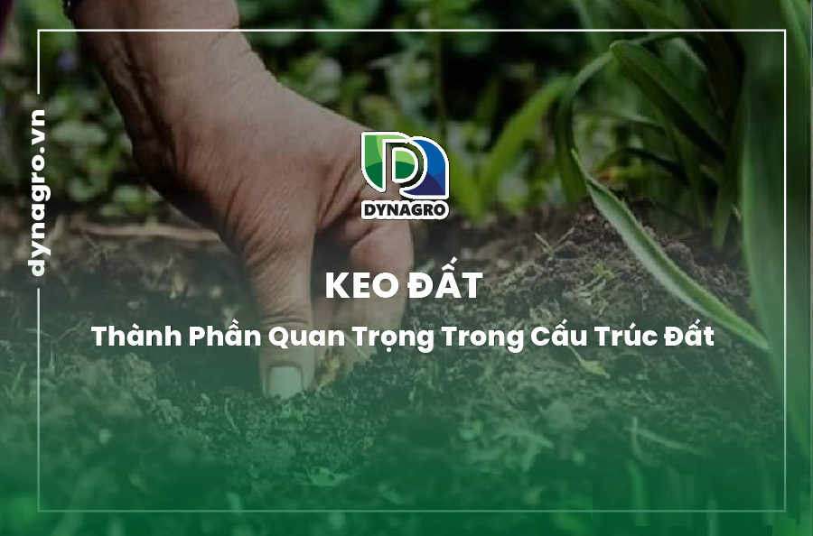 Keo đất