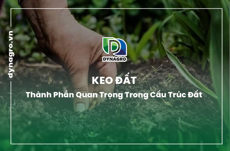 keo đất