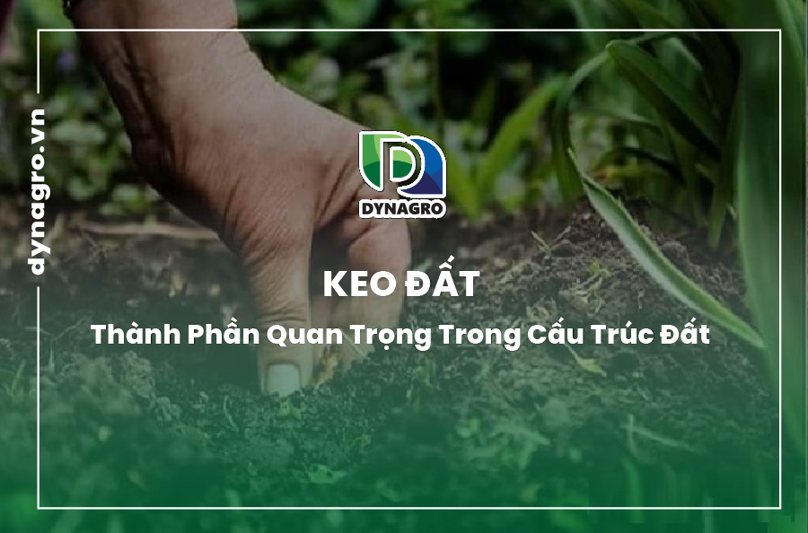 keo đất