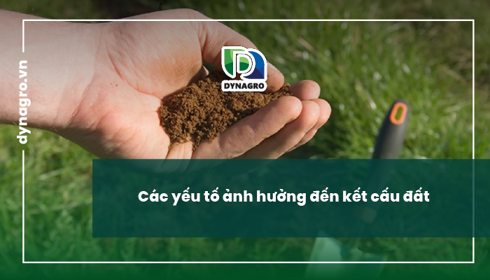 Kết cấu đất