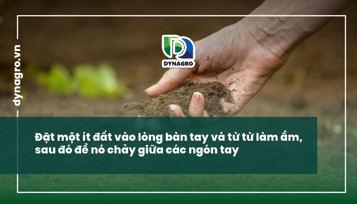 Kết cấu đất