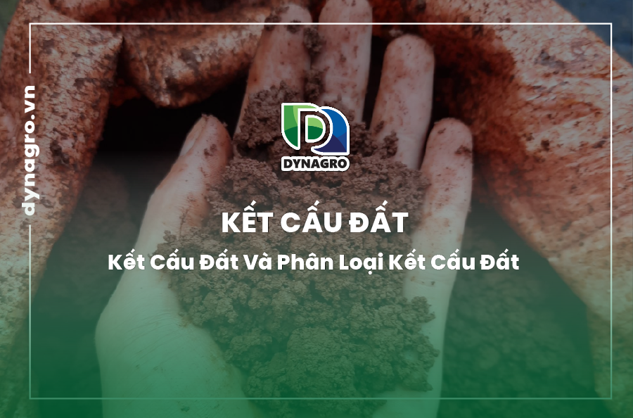 Kết cấu đất