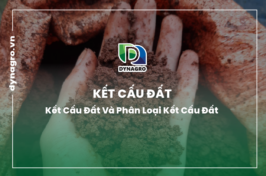 kết cấu đất