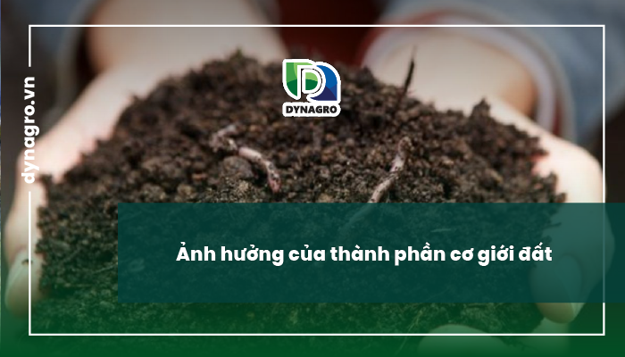 khả năng giữ nước