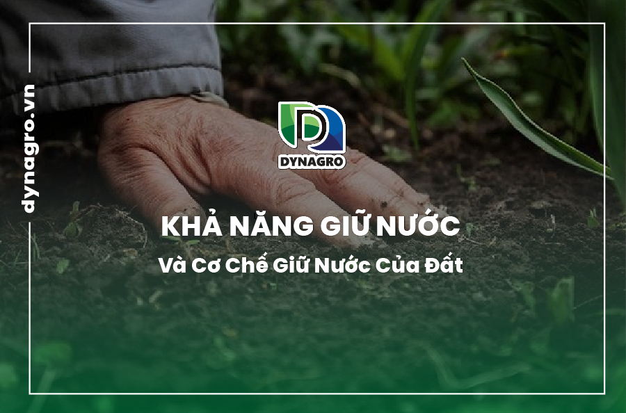 Khả năng giữ nước