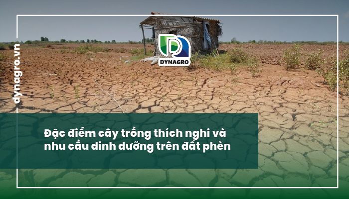 đất phèn