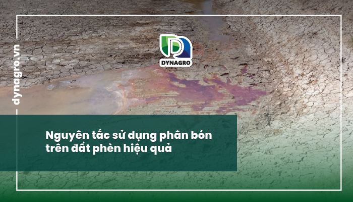 đất phèn