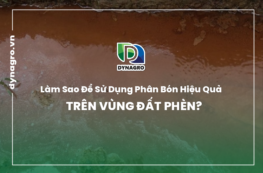 Đất phèn