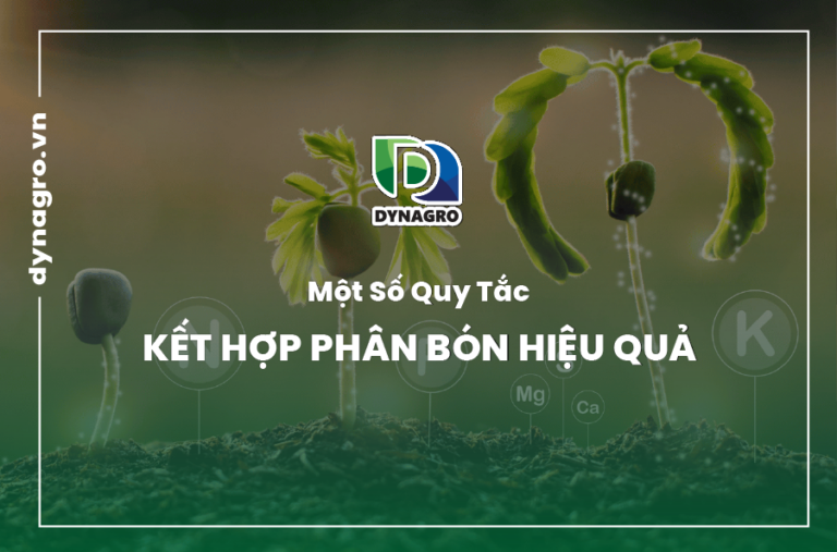 kết hợp các loại phân bón