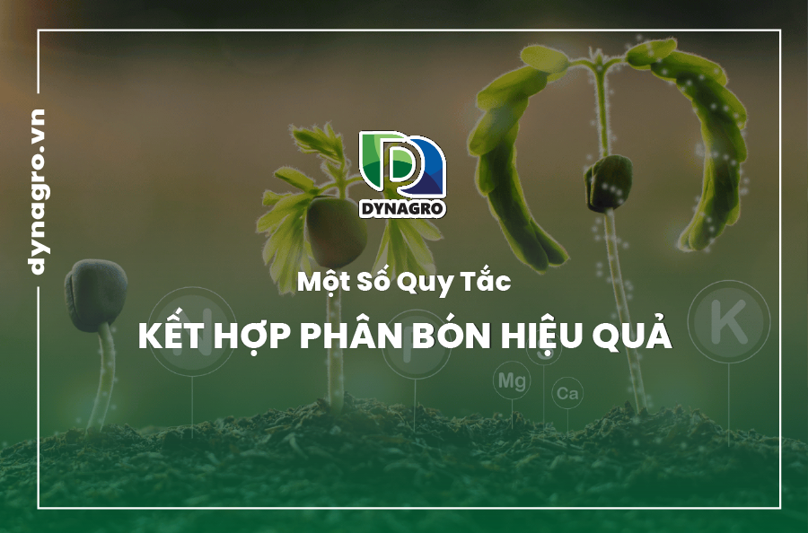 kết hợp các loại phân bón