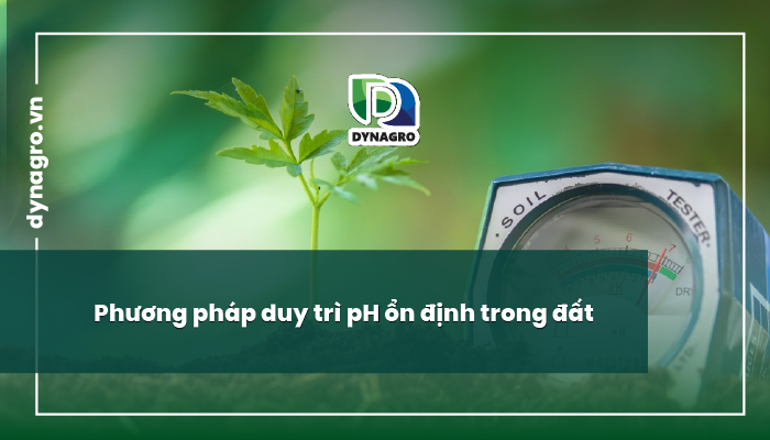 duy trì độ pH
