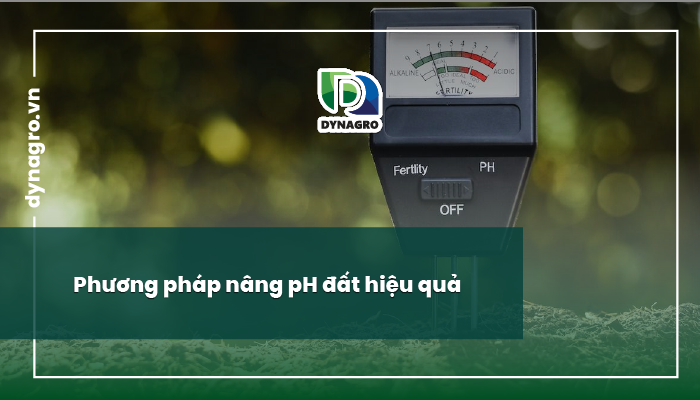 duy trì độ pH