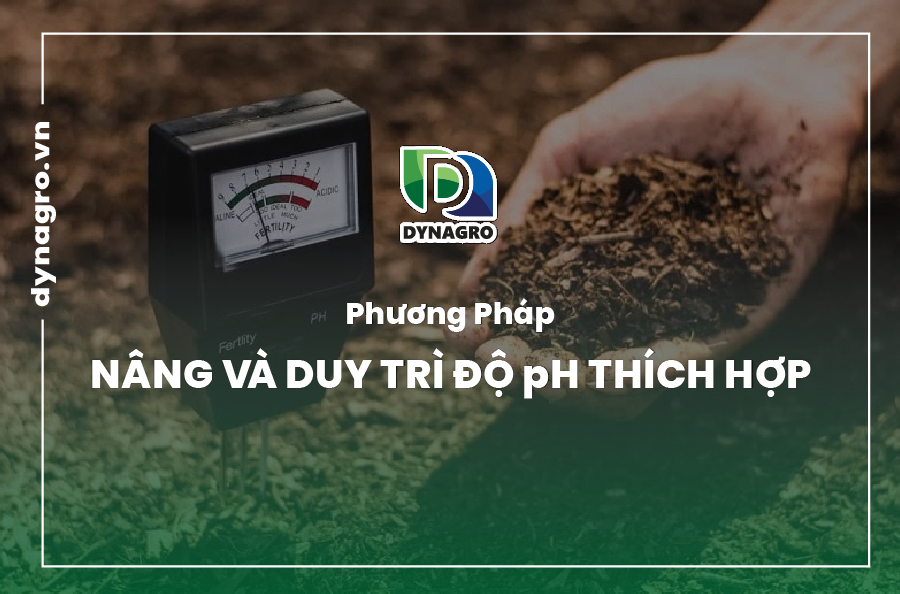 duy trì độ pH