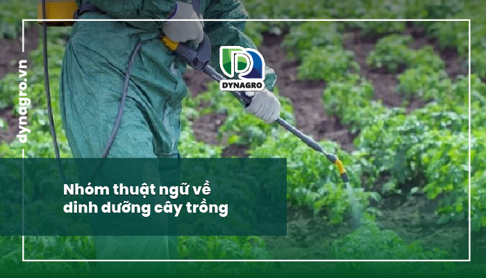 Thuật ngữ phân bón