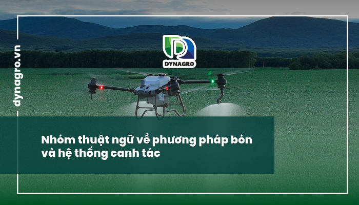Thuật ngữ phân bón