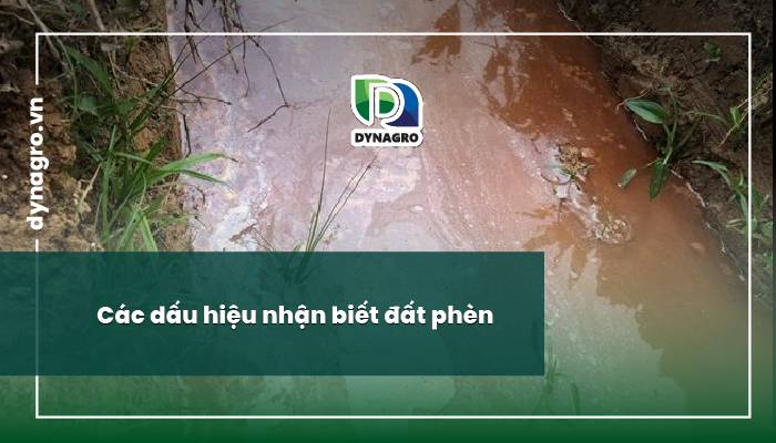 tổng quan đất phèn