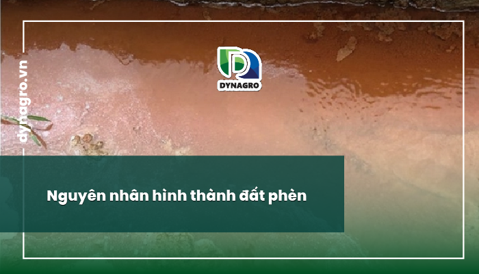 tổng quan đất phèn
