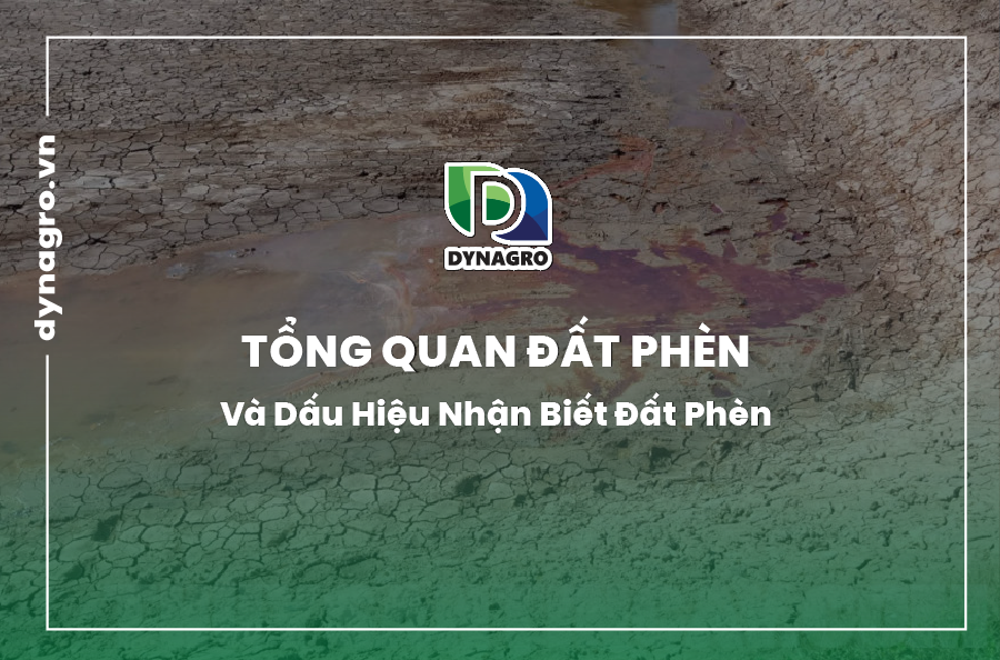 tổng quan đất phèn
