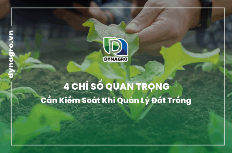 4-chi-so-quan-trong-cua-dat