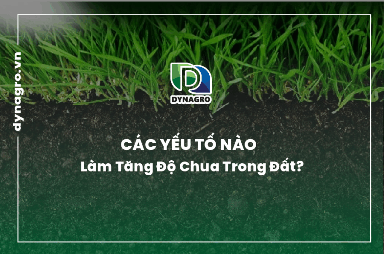 cac-yeu-to-tang-do-chua-trong-dat