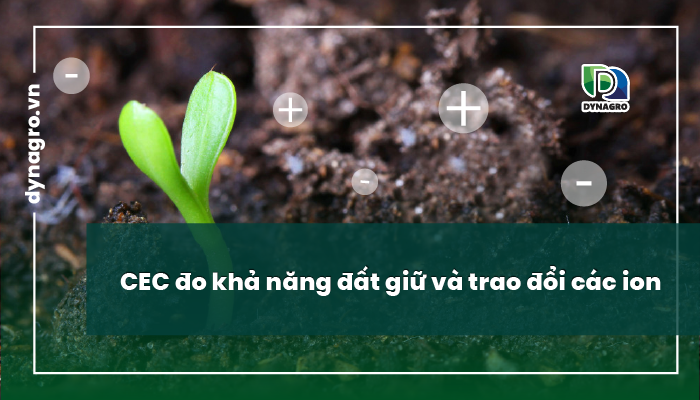 cec-4-chi-so-quan-trong-cua-dat