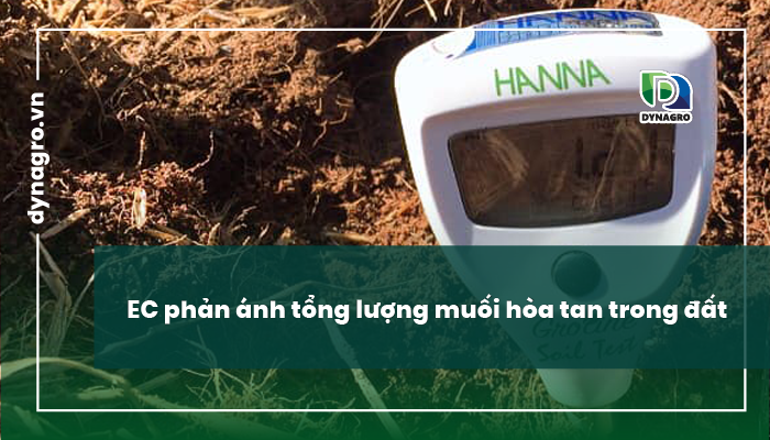 EC phản ánh tổng lượng muối hòa tan trong đất