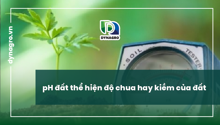 Trong quản lý đất trồng, pH đất thể hiện độ chua hay kiềm của đất