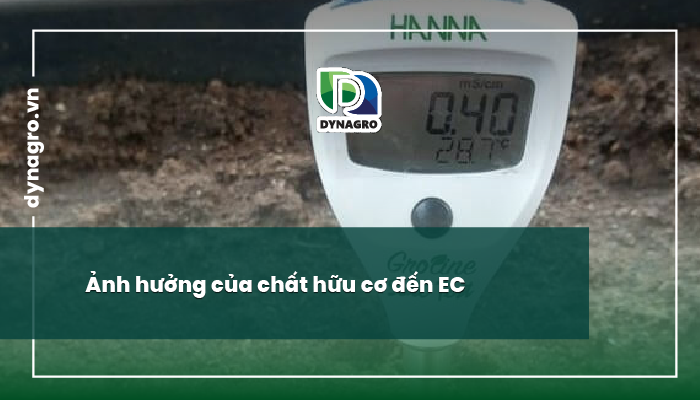 Độ dẫn điện của đất